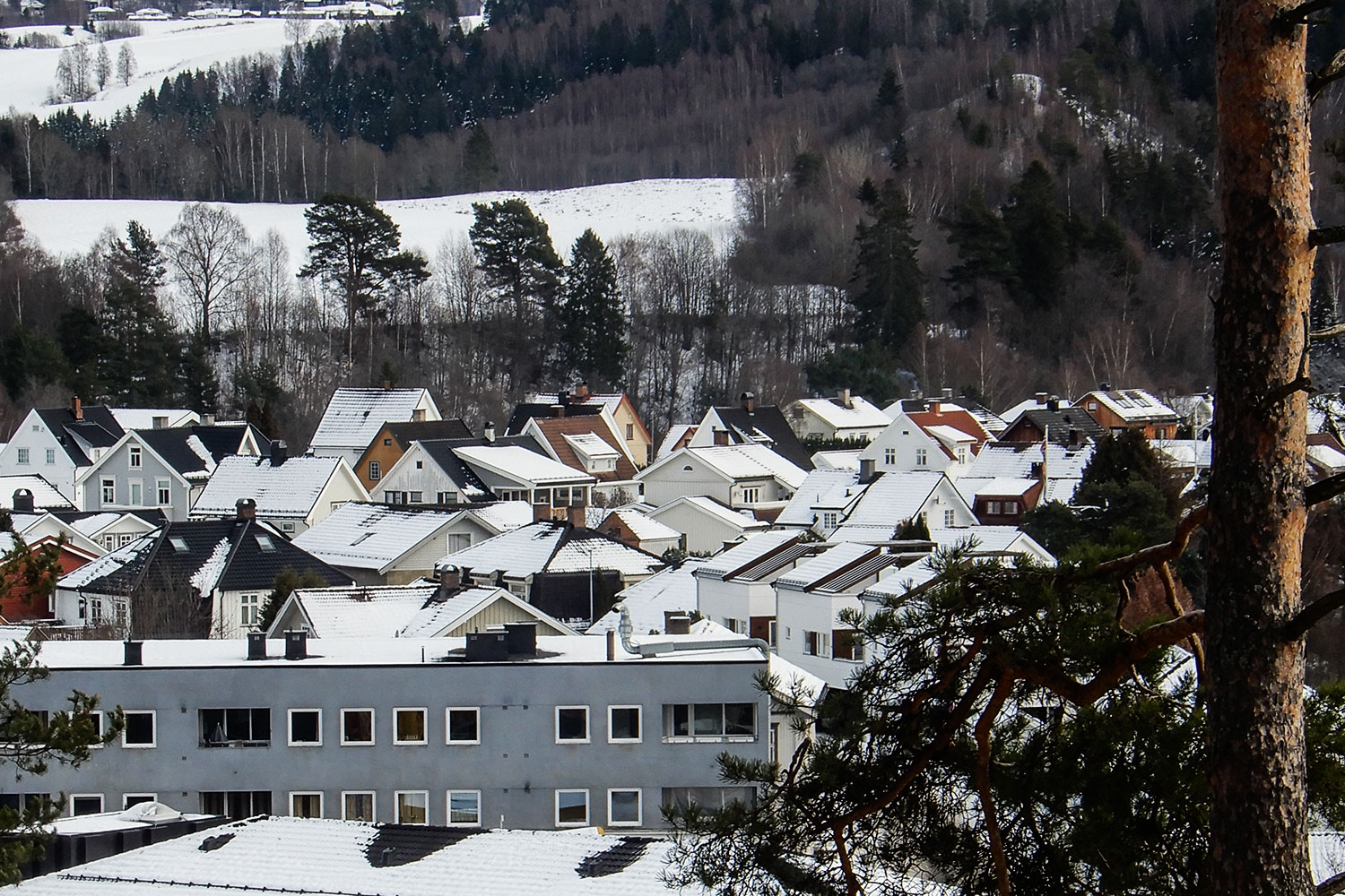 Omsetning av eiendommer i Ringerike kommune i uke 8