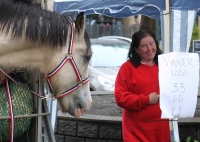 Dølahesten Borkar sammen med Trude Langvad.